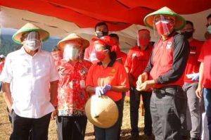 FB_IMG_15956369446504918