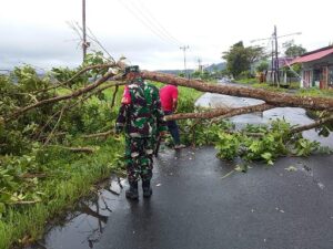 IMG-20220308-WA0001_copy_512x384