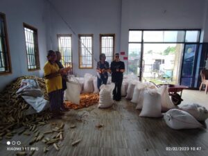IMG-20230203-WA0365