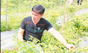 Screenshot_20230312-222700~2