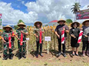 IMG-20240706-WA0106_FB2DSufp6P