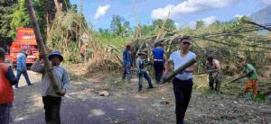 IMG-20241031-WA0586_dMjUjo0T41_QreSHULn9t