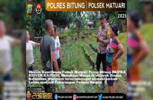 Editor_2_20250218120405_NyGNagFr8x