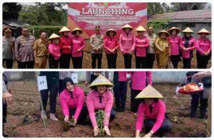 PhotoGrid_1_20250224203534_bYrT4So22X