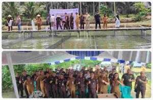 PhotoGrid_1_20250225144802_ALpfY2Y25K