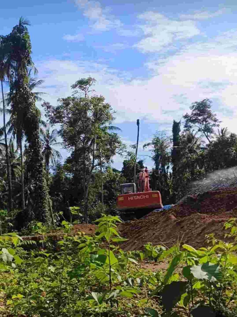 IMG-20250305-WA0289_plbW7evw1p_aFdzzQKR7I