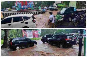 PhotoGrid_1_20250326195344_4nGIeLlw5j